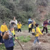 “植绿育希望，衔接促成长”——长沙市三所学校联合开展植树节活动