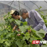 湖南商务职院深入开展跟踪回访 4年培育5000名“新农人”