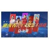 湖南信息学院舞蹈表演系参加第十一届湖南省青年文化艺术节总决赛