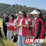 田间地头“机械牛”，科技助力“新农业”——湖财学子三下乡实践调研活动