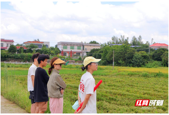 合拍的00后·三下乡|乡野里的“宝藏图鉴”：致那些扎根泥土的坚守与热爱