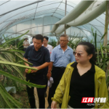 湖南农大专家资阳“把脉” 助力当地农业产业再升级