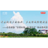 合拍的00后·三下乡丨青春赋能乡村振兴，多元实践绘新篇