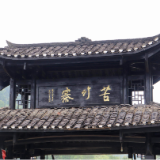 合拍的00后·三下乡｜“智”探苦竹古寨 文旅融合巧解“空心”难题