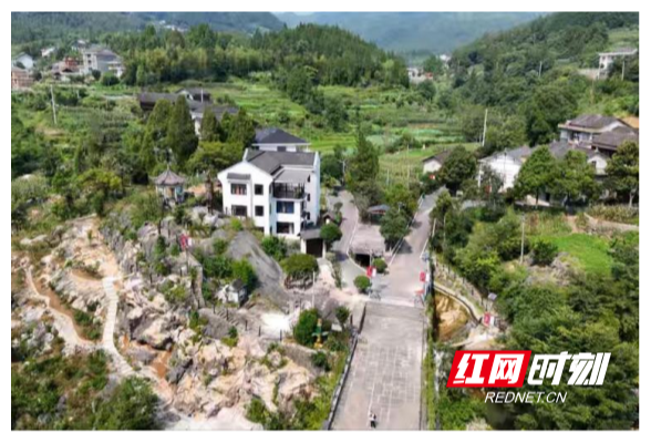 合拍的00后·三下乡丨青春扎根乡土：中南林科大实践团解码油溪桥村“蝶变记”