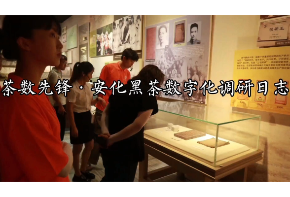 合拍的00后·三下乡 | 茶数先锋队：千年黑茶的数字“新叶”