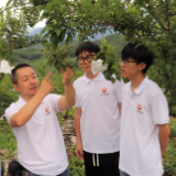 青春作笔绘乡土 湖南高校学子在“三下乡”中书写青春答卷