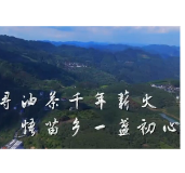 合拍的00后·三下乡｜寻油茶千年薪火，悟苗乡一盏初心