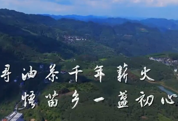 合拍的00后·三下乡｜寻油茶千年薪火，悟苗乡一盏初心