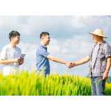 “乡村CEO”，青年人才投身农业反哺桑梓的新舞台