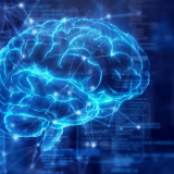 以青春之“智”塑能源之“新”