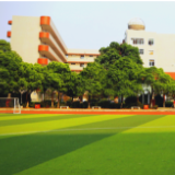 湖南148所！教育部公示2025年全国青少年校园足球特色学校认定结果