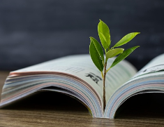 高校劳动课缘何成“爆款”