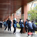 在麓梅，像树一样生长