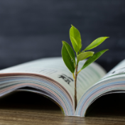 20条负面清单为基础教育划红线