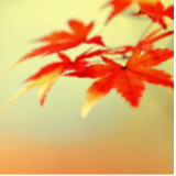 新学期,我想读这几本书