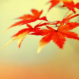 网络热词映照时代：读懂00后青年的“身心辩证法”