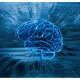 “AI+脑科学”不能只做“表面拼接”