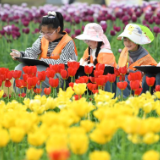 长沙春假方案征求意见中：家长盼与五一连休获亲子陪伴，网友忧交通拥堵及双职工看护难