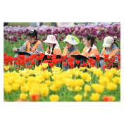 春假研学收获多