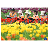 最新！湖南14个市州春假时间汇总！