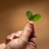 小学生“解答”大学生的问题：接纳自己，本就无需刻意训练