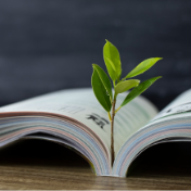 高校分类改革如何“量体裁衣”