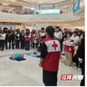 湖南劳动人事职院开展应急救护普及暨精准助企志愿服务