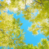 合拍的00后｜他们镜头里的湘信院，让“美翻了”具象化