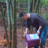 扶贫攻坚丨点赞!一位湘潭县“职业养鸡人”的产业扶贫成绩单