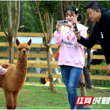 组图丨阴雨天气暂歇 周末的湘潭窑湾景区里欢乐多