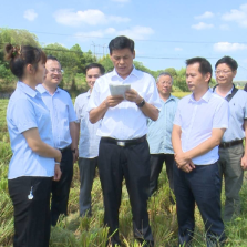 韶山市“高档优质水稻绿色丰产技术研究与示范”项目效果达到预期