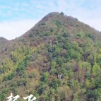 航拍丨隔屏“森”呼吸 在湘潭的林海上“氧泳”（韶山篇）