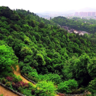 美图丨雨后初晴 在湘潭昭山顶上被春天拥抱是怎样的感觉？