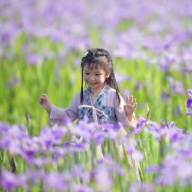 湘潭·排头首届鸢尾花节开幕在即 五一假期多了个好去处