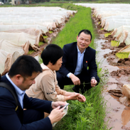 湘潭县：驻村“金融管家”助力 引来信用“活水”灌溉到农村“良田”