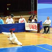430名健将“论剑”湘潭市第十三届运动会武术比赛（图）