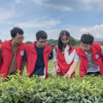 湘潭大学大学生13000字“三下乡”调研报告获好评(图)