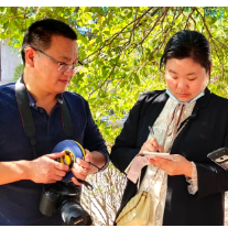 湘乡市加强古树名木保护 守护绿色“活文物”