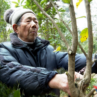 新春走基层丨湘乡古稀老人周国梁种树20余载 把荒山变“金山”