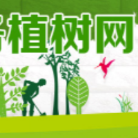 韶山市深入推进“互联网+”全民义务植树