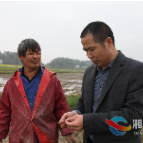 湘乡：春耕遇上“倒春寒”  农技指导护秧苗