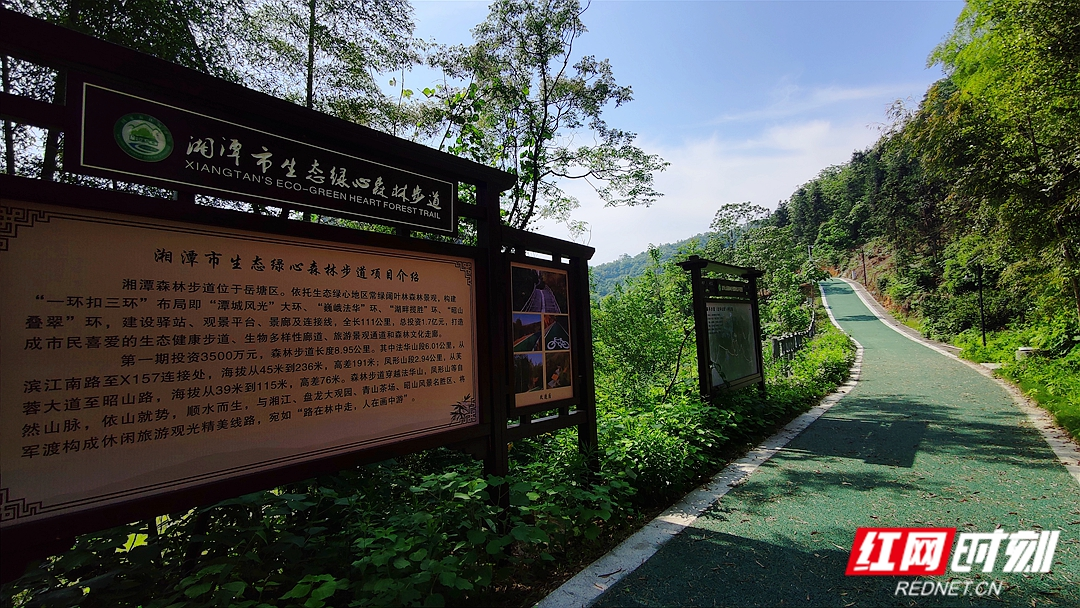 VLOG丨在湘潭法华山森林步道遇见长株潭“绿心”