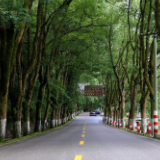 韶山：蝶变故园路