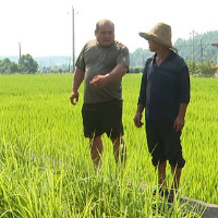 湘乡石磴村党总支书记钱磊：当好“兵支书” 赢得群众好口碑