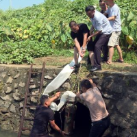 湘潭县杨嘉桥镇积极寻找水源 多措并举抗旱保收