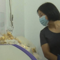 韶山市场监管局开展2022年“质量月”检验检测实验室开放日活动