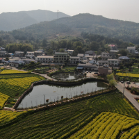 韶山韶阳村获评第九批“全国民主法治示范村”