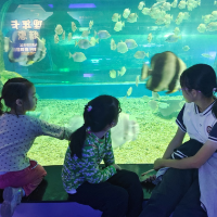 赴一场海洋之约 湘潭县特殊教育学校学生免费畅游海洋馆