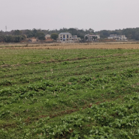 韶山：加强高标准农田建设 计划提质改造农田1.12万亩